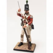 Nap 02- British 43rd Foot Light Infantry Private 