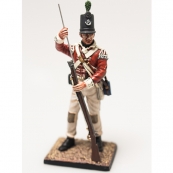 Nap 02- British 43rd Foot Light Infantry Private 