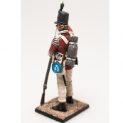 Nap 02- British 43rd Foot Light Infantry Private 