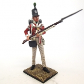 Nap 05- British 43rd Foot Light Infantry Sergeant