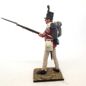 Nap 05- British 43rd Foot Light Infantry Sergeant