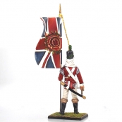 Nap 13 - 43rd Light Infantry Officer with Kings Colours